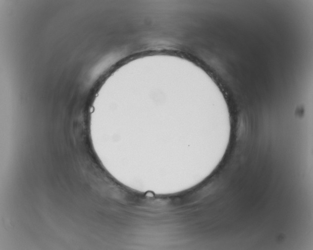 X0000113151261200910161212