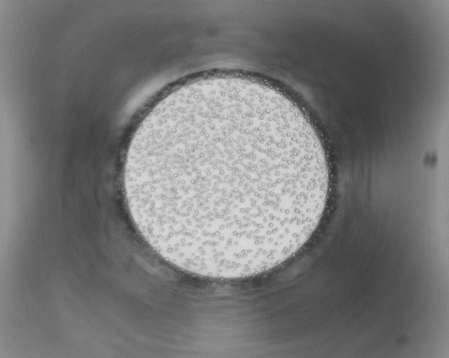 X0000113151263200910161212