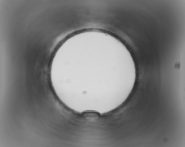 X0000113151264200910161212