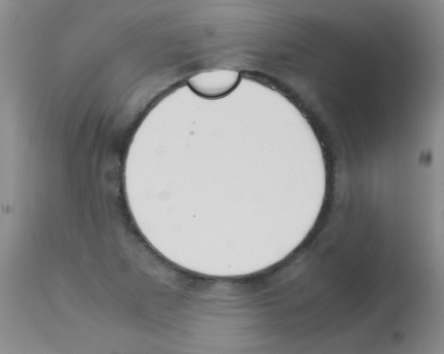 X0000113151265200910161212