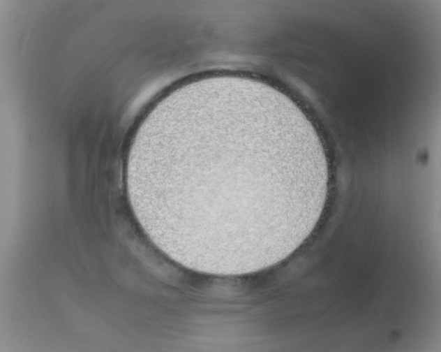 X0000113151267200910161212