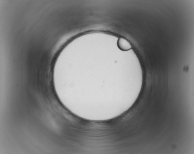 X0000113151270200910161212