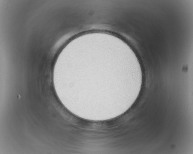 X0000113151271200910161212