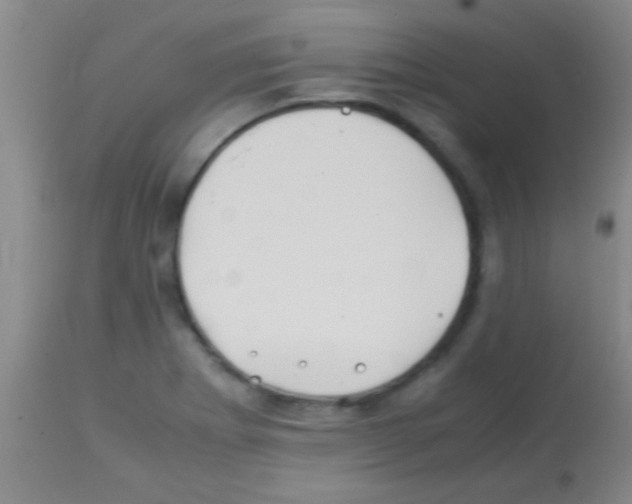 X0000113151273200910161211