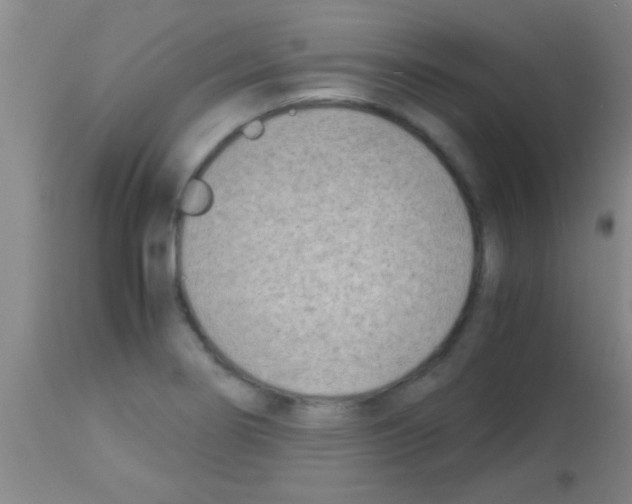 X0000113151274200910161211