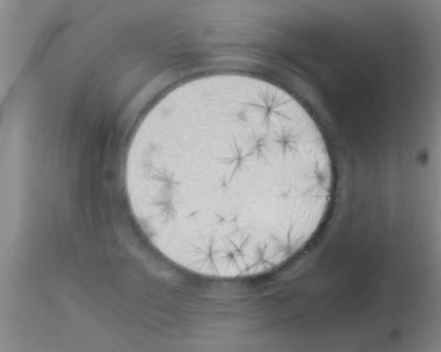 X0000113151275200910161211