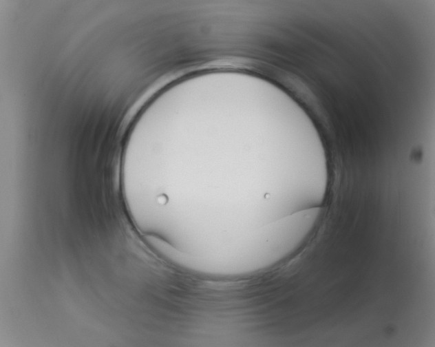 X0000113151276200910161211