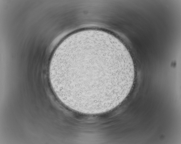 X0000113151279200910161211