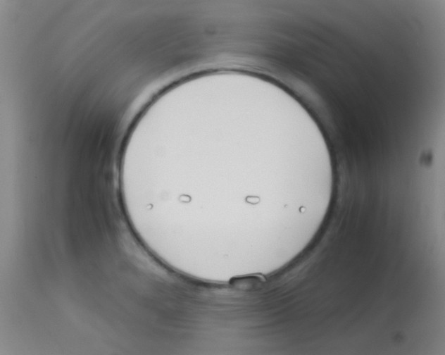 X0000113151280200910161211