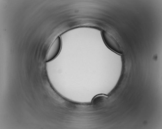 X0000113151281200910161211