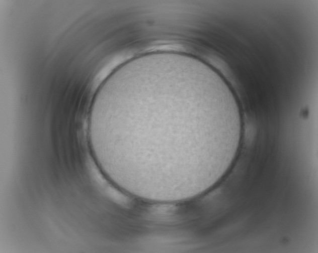 X0000113151282200910161211