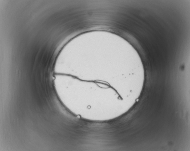 X0000113151284200910161211