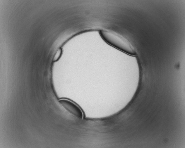 X0000113151285200910161211