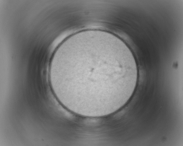 X0000113151286200910161211