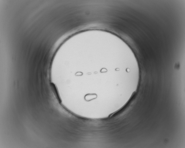 X0000113151288200910161211