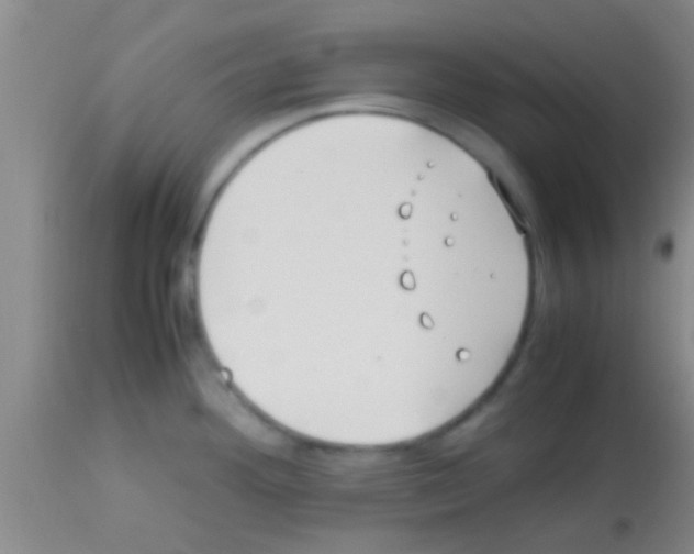 X0000113151292200910161211