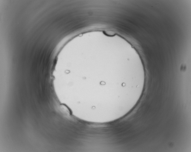 X0000113151296200910161211