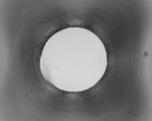 X0000113151297200910161210