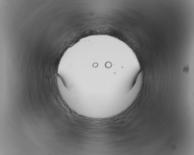 X0000113151298200910161210