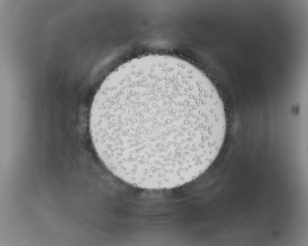 X0000113151301200910161210