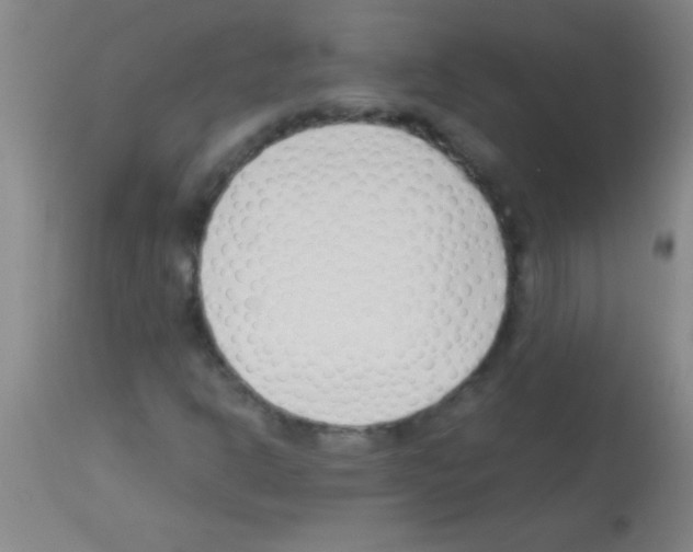 X0000113151302200910161210