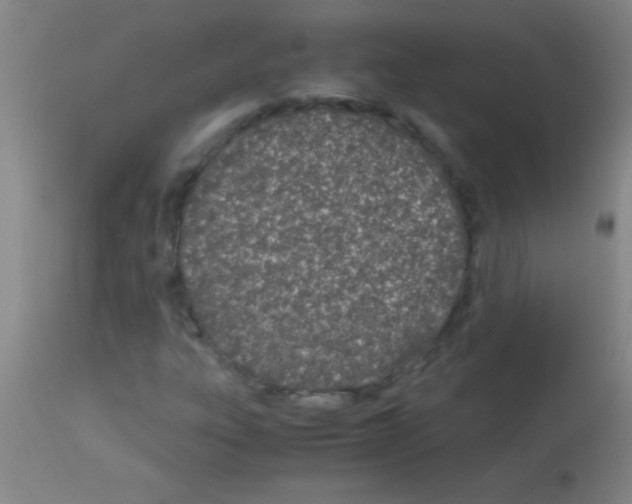 X0000113151303200910161210