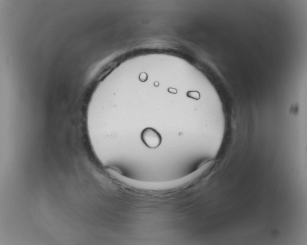 X0000113151304200910161210