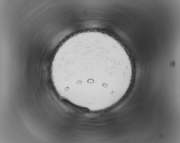 X0000113151305200910161210