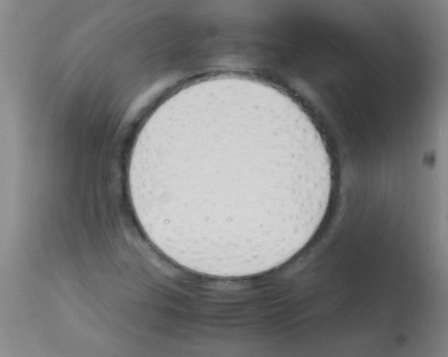 X0000113151307200910161210