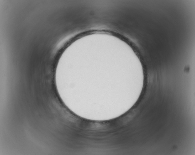 X0000113151311200910161211