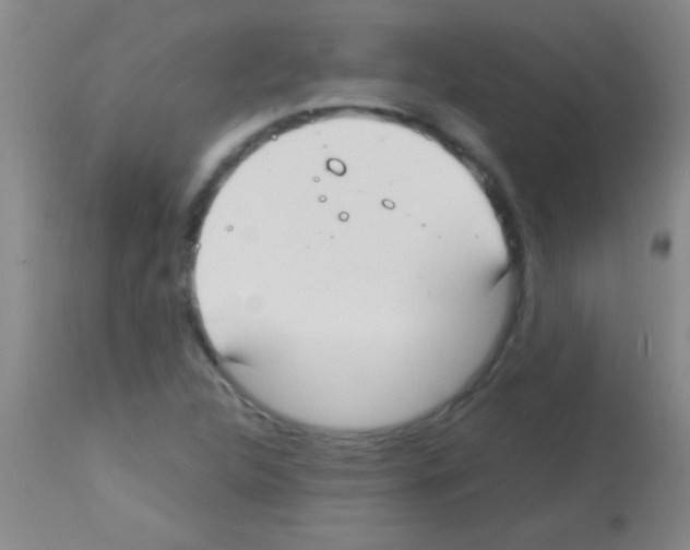 X0000113151312200910161211