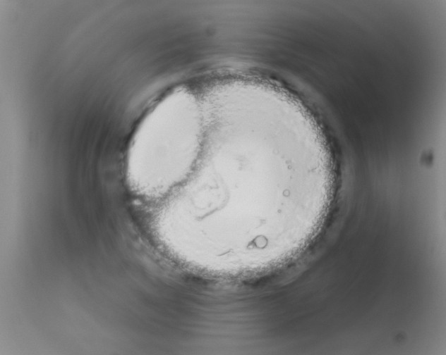 X0000113151314200910161211