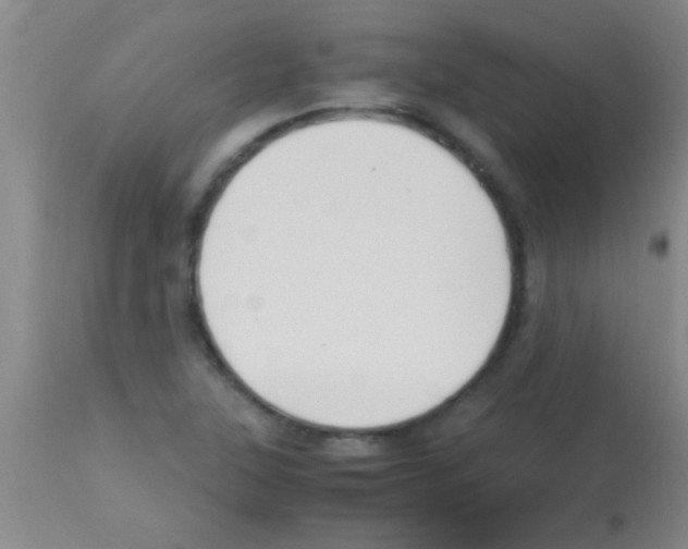 X0000113151315200910161211