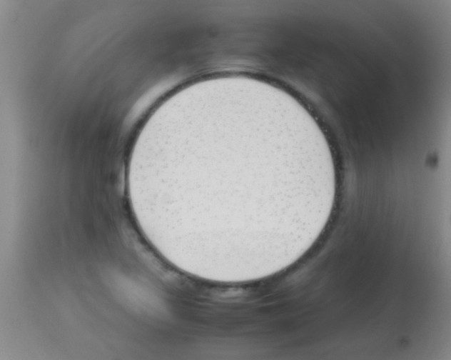 X0000113151317200910161211