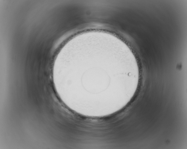 X0000113151318200910161211