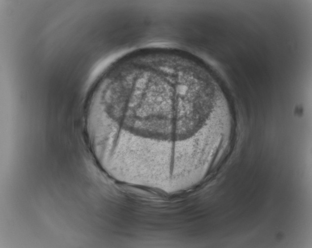 X0000113151319200910161211