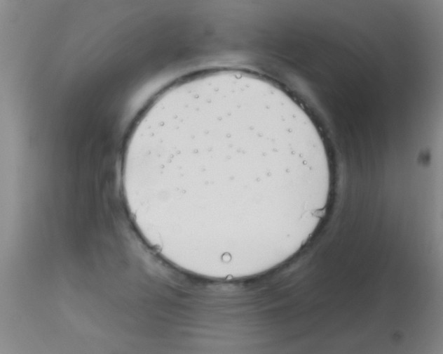 X0000113151320200910161211