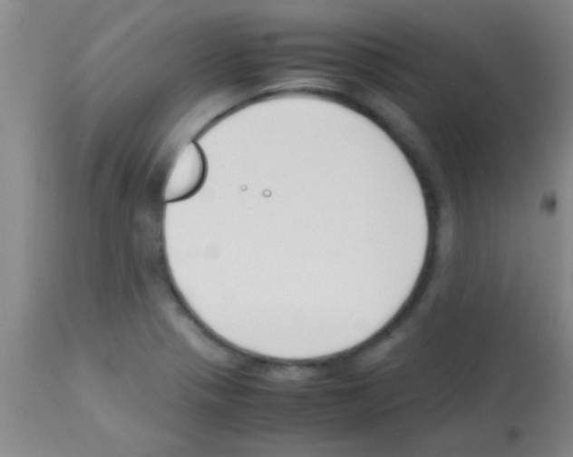 X0000113151321200910161211