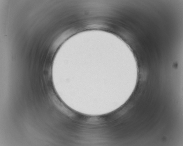 X0000113151322200910161211