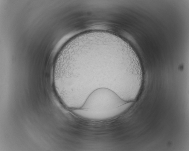 X0000113151323200910161211