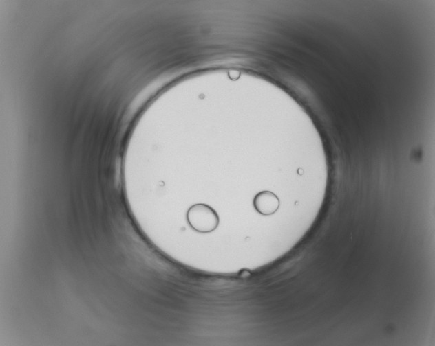 X0000113151324200910161211