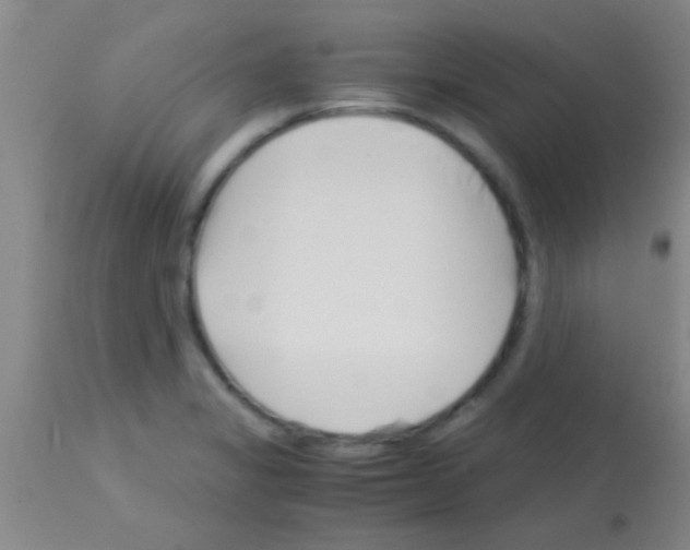 X0000113151325200910161211