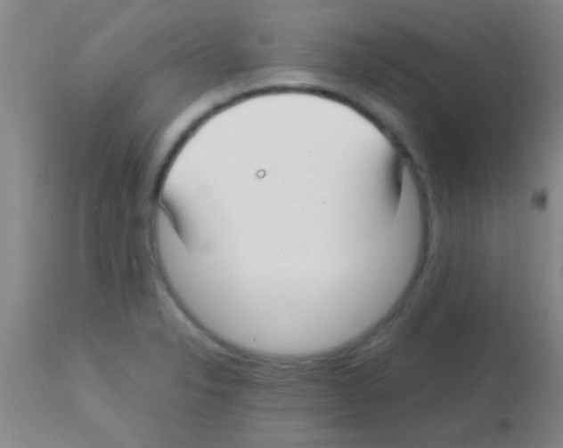 X0000113151326200910161211