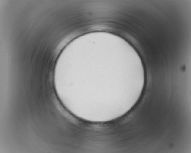 X0000113151330200910161211