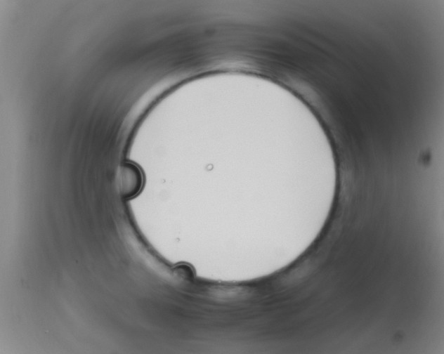 X0000113151331200910161211