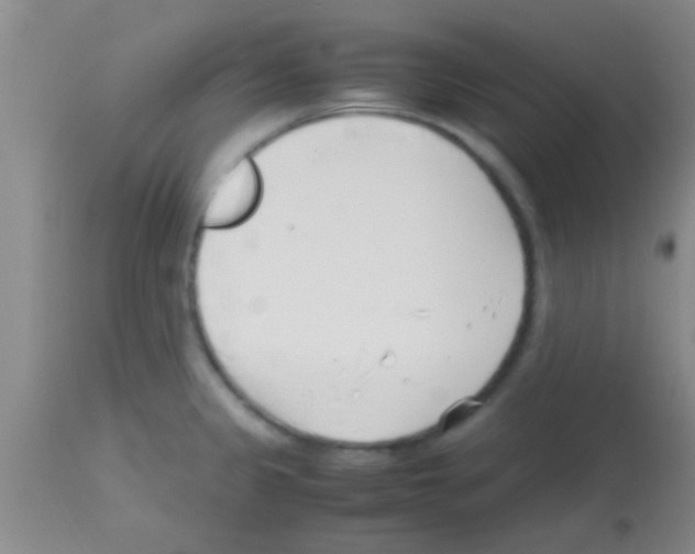 X0000113151333200910161211