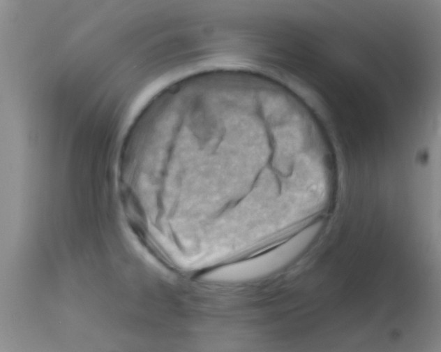 X0000113151334200910161211