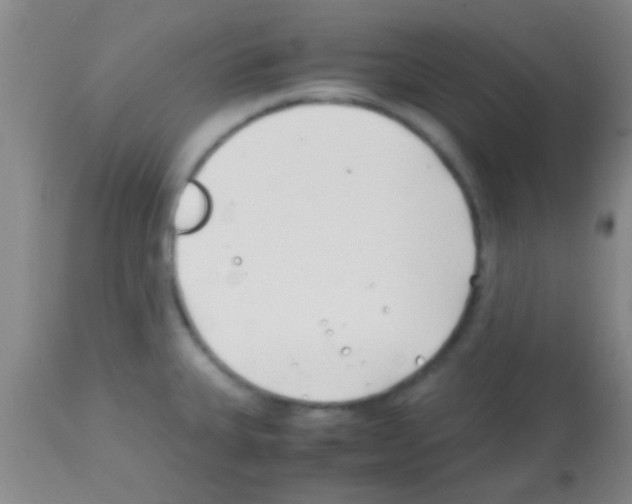 X0000113151335200910161211