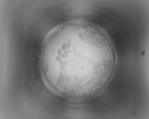 X0000113151338200910161211