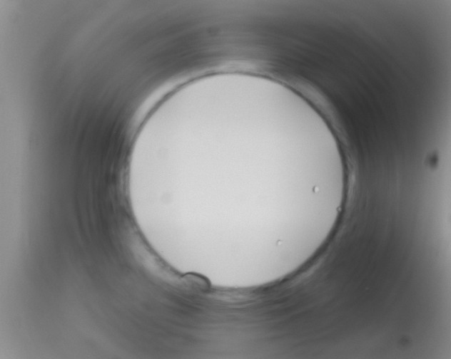 X0000113151340200910161211